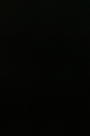 Back Image