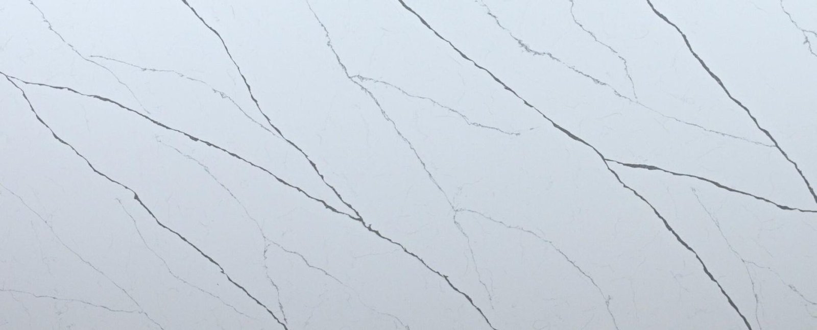 Alaskan-White_Close_B Alaskan-White_Close_B