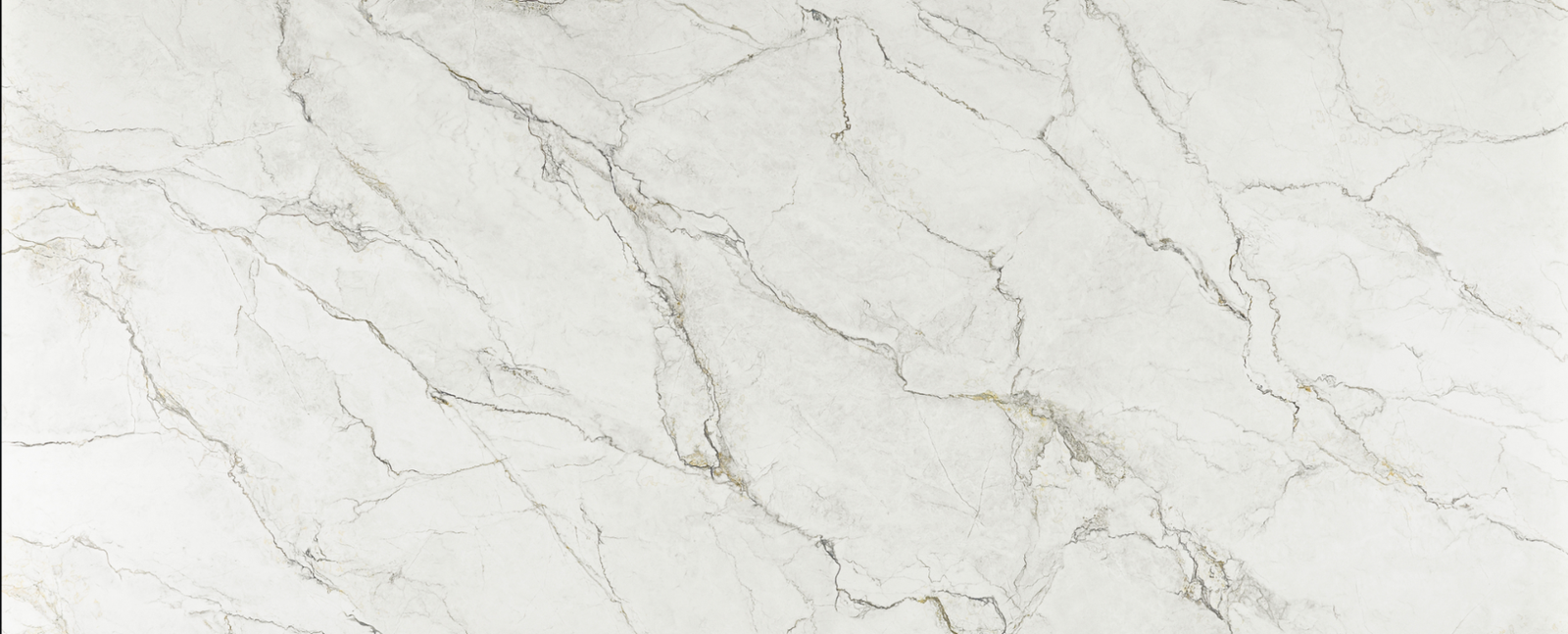 Camus Bianca RQ11044 Full Slab Camus Bianca RQ11044 Full Slab