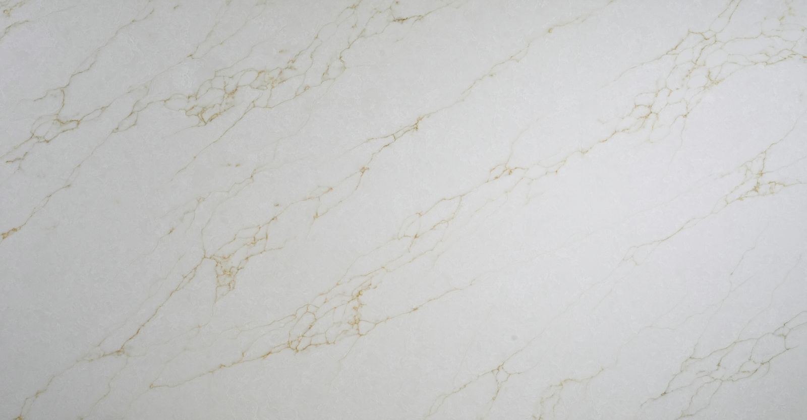OCEAN GOLD SLAB IMAGE OCEAN GOLD SLAB IMAGE