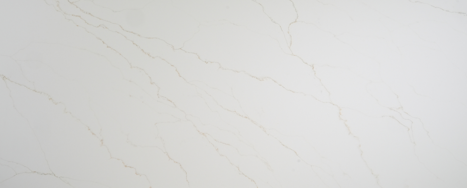 VENATINO GOLD SLAB IMAGE VENATINO GOLD SLAB IMAGE